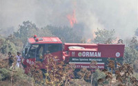 Bodrum'da korkutan yangın
