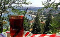 Çaykur, Araplara mı satılacak?