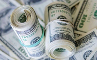 Dolar dalgalı seyrini sürdürüyor
