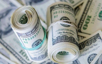 İşte Merkez anketindeki dolar ve enflasyon beklentisi