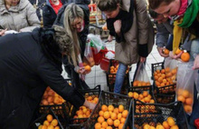 Rusya portakal kasalarını buldozerle ezdi