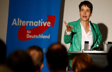 Alman siyasetçinin insanlık dışı yorumu 