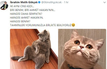 Melih Gökçek ile Ahmet Hakan'ın kedi atışması