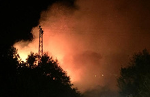 Kahramanmaraş'ın Ekinözü ilçesinde orman yangını çıktı