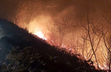 İçişleri Bakanlığı: Karadeniz’deki yangın sabotaj değil