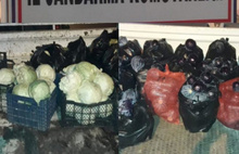 Bursa'da sebze hırsızları yakalandı
