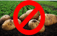 Patates ve kuru soğan ihracatına kısıtlama getirildi: Karardan önce kimler lisans alıp zengin oldu!