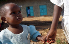 Etiyopya’da çekirge istilası: 1 milyon kişi açlık tehlikesinde
