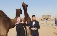 İnternet sitesinde deve idrarı satılıyor