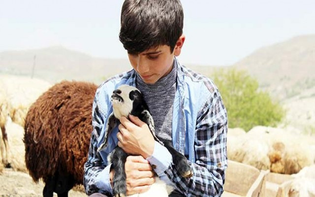 Tunceli'li çoban Habip'in TEOG başarısı