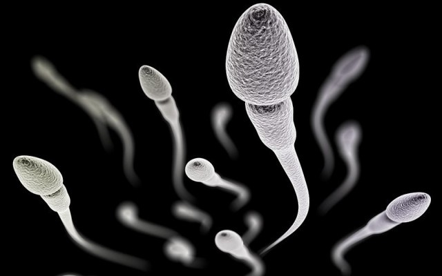Sperm sayısıyla ilgili korkutan araştırma