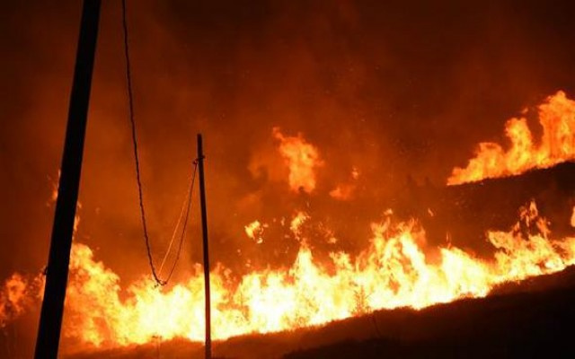 Bodrum Yalıkavak'ta korkutan yangın