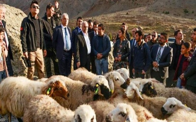 300 koyun projesinde haber geldi