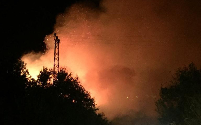 Kahramanmaraş'ın Ekinözü ilçesinde orman yangını çıktı