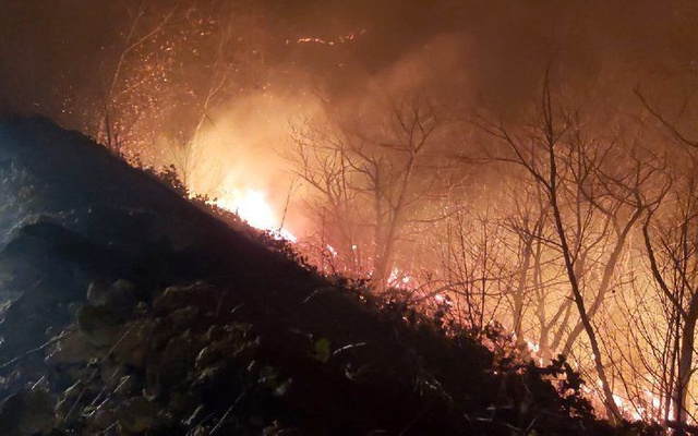 İçişleri Bakanlığı: Karadeniz’deki yangın sabotaj değil