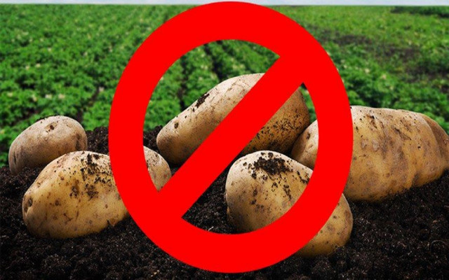 Patates ve kuru soğan ihracatına kısıtlama getirildi: Karardan önce kimler lisans alıp zengin oldu!