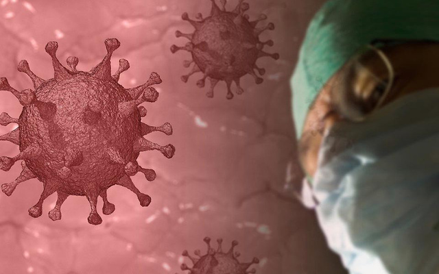 Bilim insanları, 6 yeni koronavirüs keşfetti!