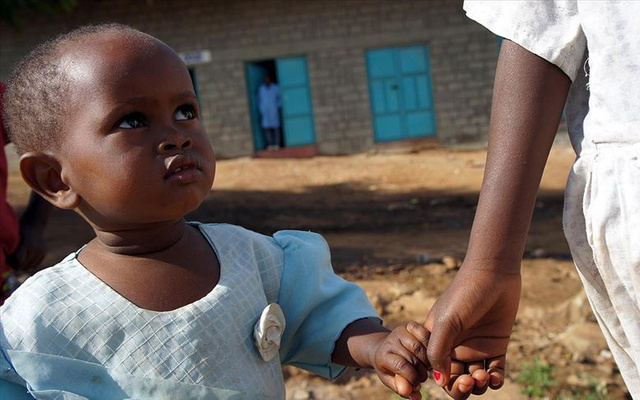 Etiyopya’da çekirge istilası: 1 milyon kişi açlık tehlikesinde