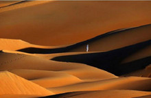 Arabistan bir zamanlar ormandı