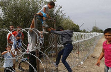 Google'dan mülteci krizi için yardım kampanyası