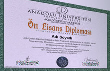 Bir milyon diplomaya soruşturma