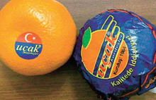 Rusya'yla ikinci uçak krizi mandalinadan çıktı