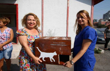 Eski seçim sandıkları kedi evi oldu