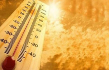 Şubat ayında rekor sıcaklık