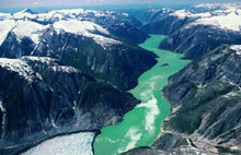 Dünyada el değmemiş doğal ortamlar nerede?