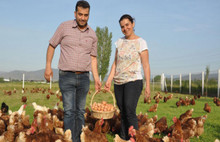 3 tavukla hayallerine kavuştular