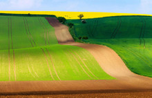 Bu fotoğrafı yakalamak için akın ediyorlar