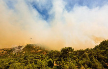 Korkunç yangında sabotaj şüphesi