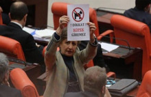 O vekile CHP'nin kedisi Şero'dan cevap