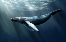 Katil oyun hükümeti harekete geçirdi