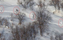 PKK'nın üst düzey ismi öldürüldü