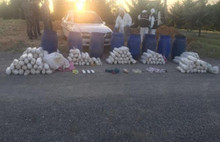 Bombacı terörist çatışmada öldürüldü