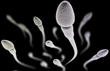 Sperm sayısıyla ilgili korkutan araştırma