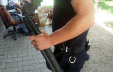 Taraftar otobüsünden çıkanlar dehşete düşürdü