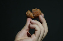 Bursa'da 300 yıllık Osmanlı pipoları bulundu