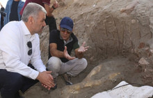 Kayseri'de 2 metrelik fil kafatası bulundu