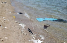 LÖSEV'den adaylara çarpıcı uyarı