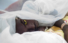 İnsanlığı tehdit eden en büyük tehlike açıklandı