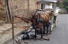 İBB Başkanı İmamoğlu: Vatandaşlarımızın talebi üzerine Adalar'da fayton kalkıyor