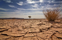 Türkiye son 9 yılın en kurak kasımını geçirdi