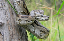 Kalbi kırıklar için sıradışı Sevgililer günü