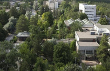 Athena Gökhan: ODTÜ aç kollarını geliyoruz