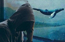 Gürer: Mavi Balina belasını yok edin