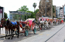 Kuşadası'nda atların çektiği eziyete son verildi