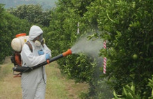 Çalıyorsa benim paramı çalıyor sana ne ulan !