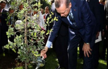 Erdoğan o isteğe destek verdi!